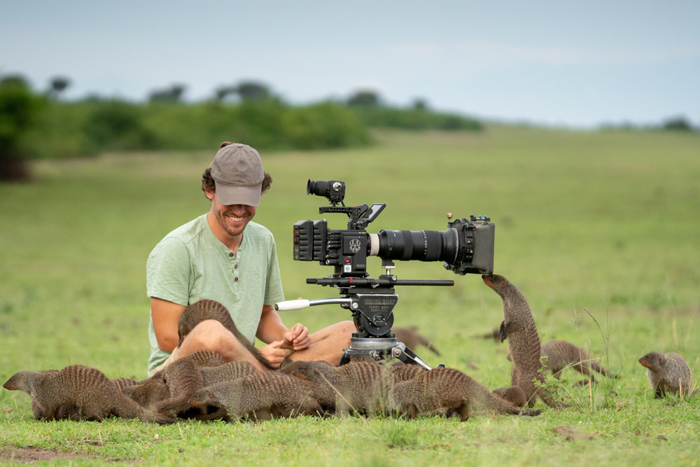 How To Become A Wildlife Cameraman