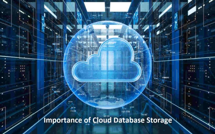 Importance of Cloud Database Storage