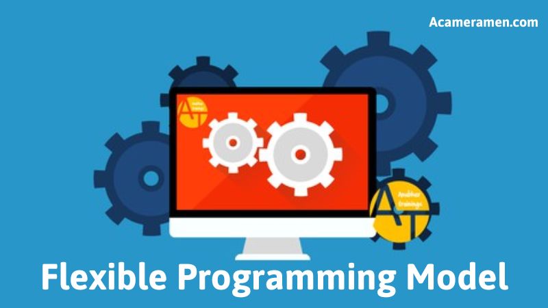 A Flexible Programming Model